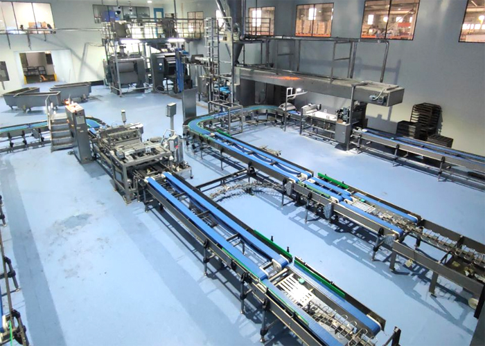 Pan Conveying System 