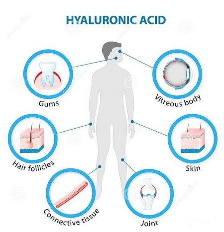 hydrolyzed hyaluronic acid serum price - ZHENYIBIO
