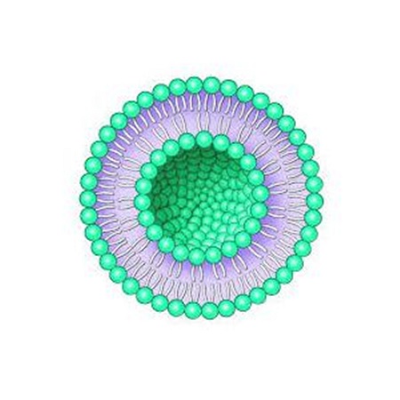 Was ist ein Ceramid-Liposom und seine Hauptfunktion?