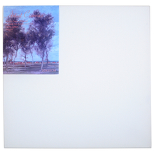 Stretched Canvas 1.9x3.5cm Bar 380gsm Primed Cotton Canvas