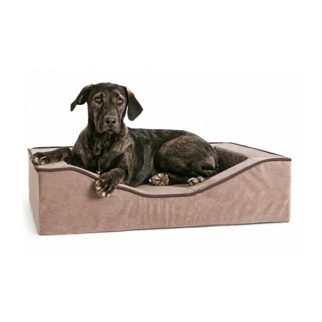 Warm Custom Non-slip Furniture Luxury Sofa Cat Modern Waterproof Dog Bed