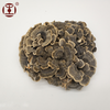 Turkey Tail Extract Powder;Coriolus Versicolor Extract Powder;Trametes versicolor extract powder