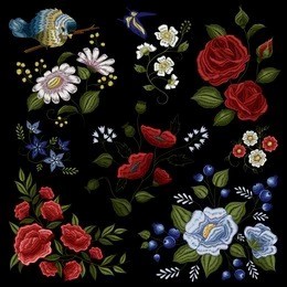Exxroidery masini i gaioiga