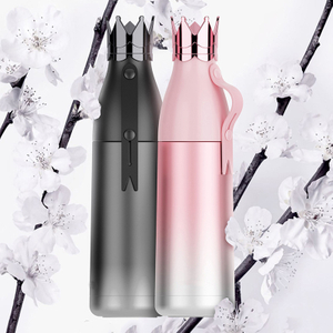 Creative Stainless Steel Thermal Insulation Water Bottles Crown Shaped Lid Applicable For Outdoor Sports In Winter
