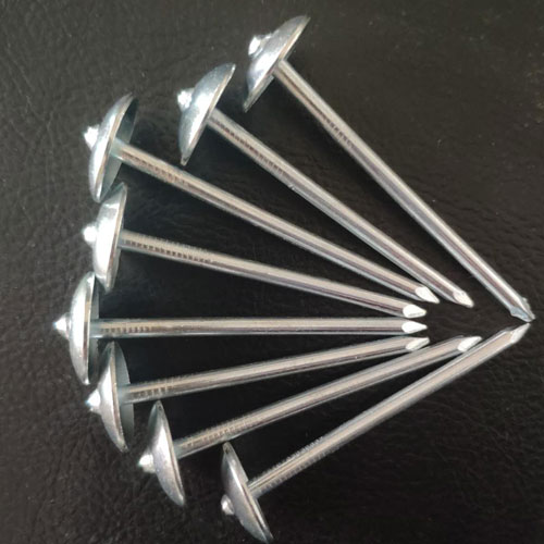 Roofing Nail