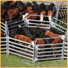 Horse Fence Panel