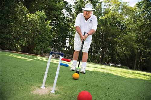 73 croquet ball (2)