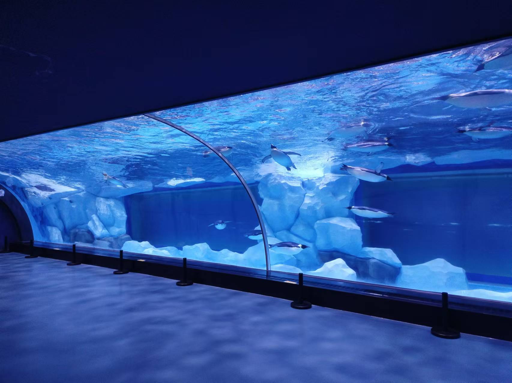 Acrylraam aquariumpaneel - LEYU