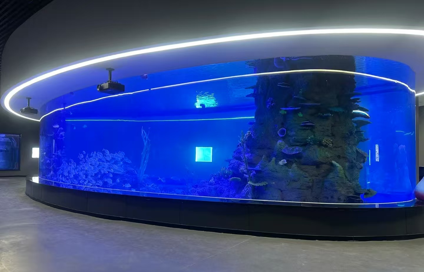 tank ika kiriaku