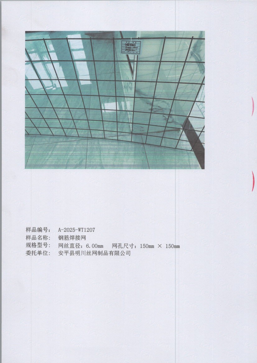 1207 005