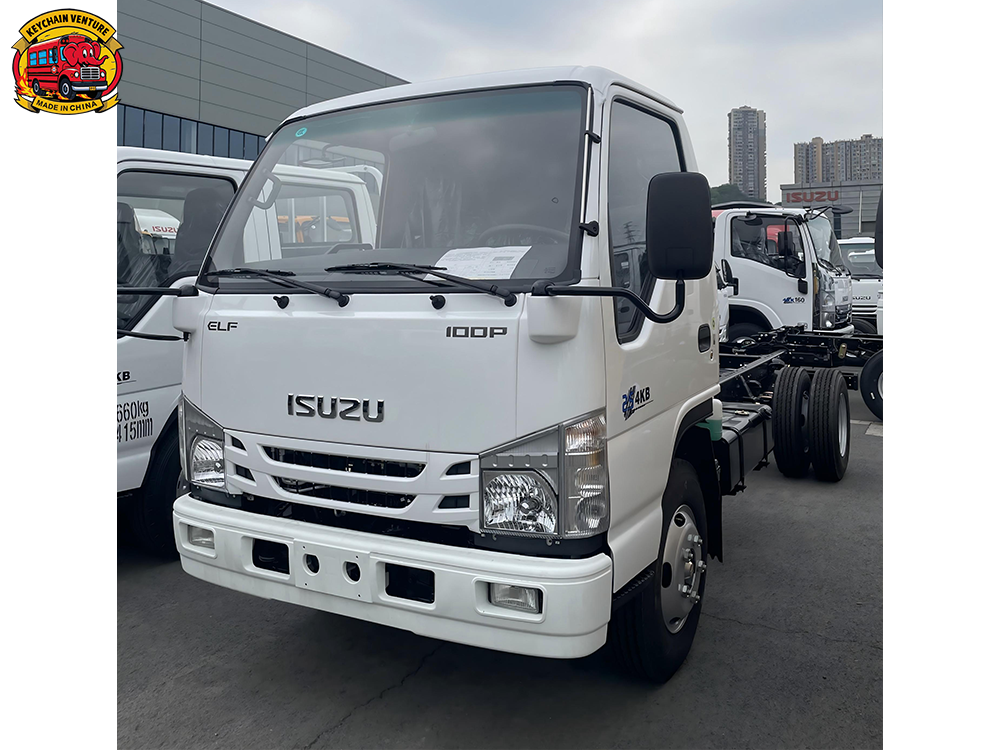 100P (NP11C) (1)