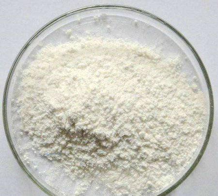 Welche Funktion hat Chlorogens&auml;ure?