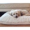 Durable Waterproof Removable Washable Cover orthopedic Memory Foam Dog Pet Bed