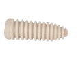 I-PEEK Screw (ACLPCL)