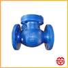 Swing Check Valve