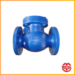 Swing Check Valve