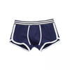 Koreansk sexig bomullsboxningskort herr