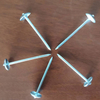 Roofing Nail