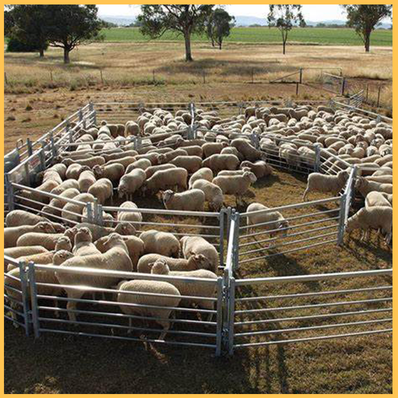 Sheep Fence Panel