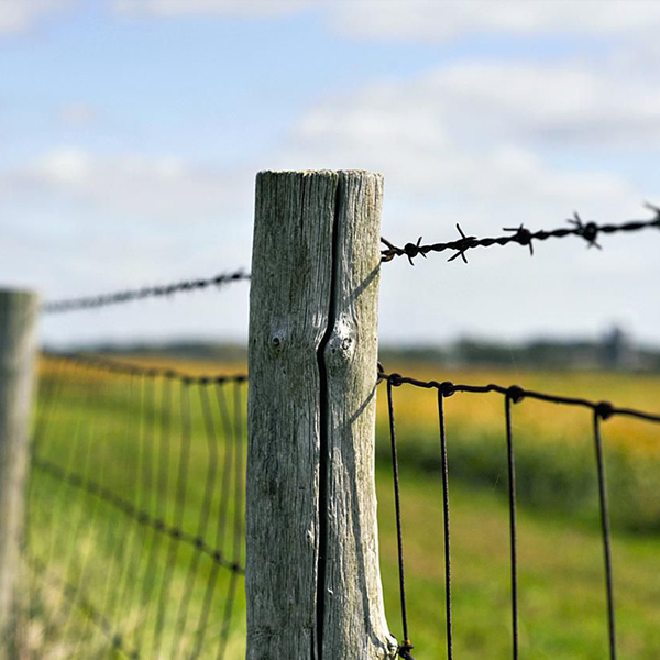 Grassland Fence
