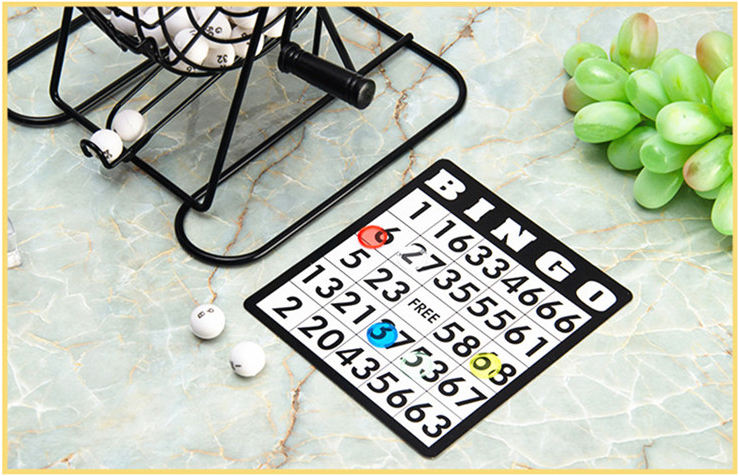 Bingo Set Includes Bingo Cage Master Board Mixed Cards 75 Calling Balls Colorful Chips Ideal toy for and kids boys girls