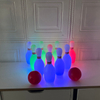Educational Birthday Gifts for Boys Girls Ages Includes 10 Plastic Pins 2 Balls Toddler Indoor Outdoor Bowling Games Set.