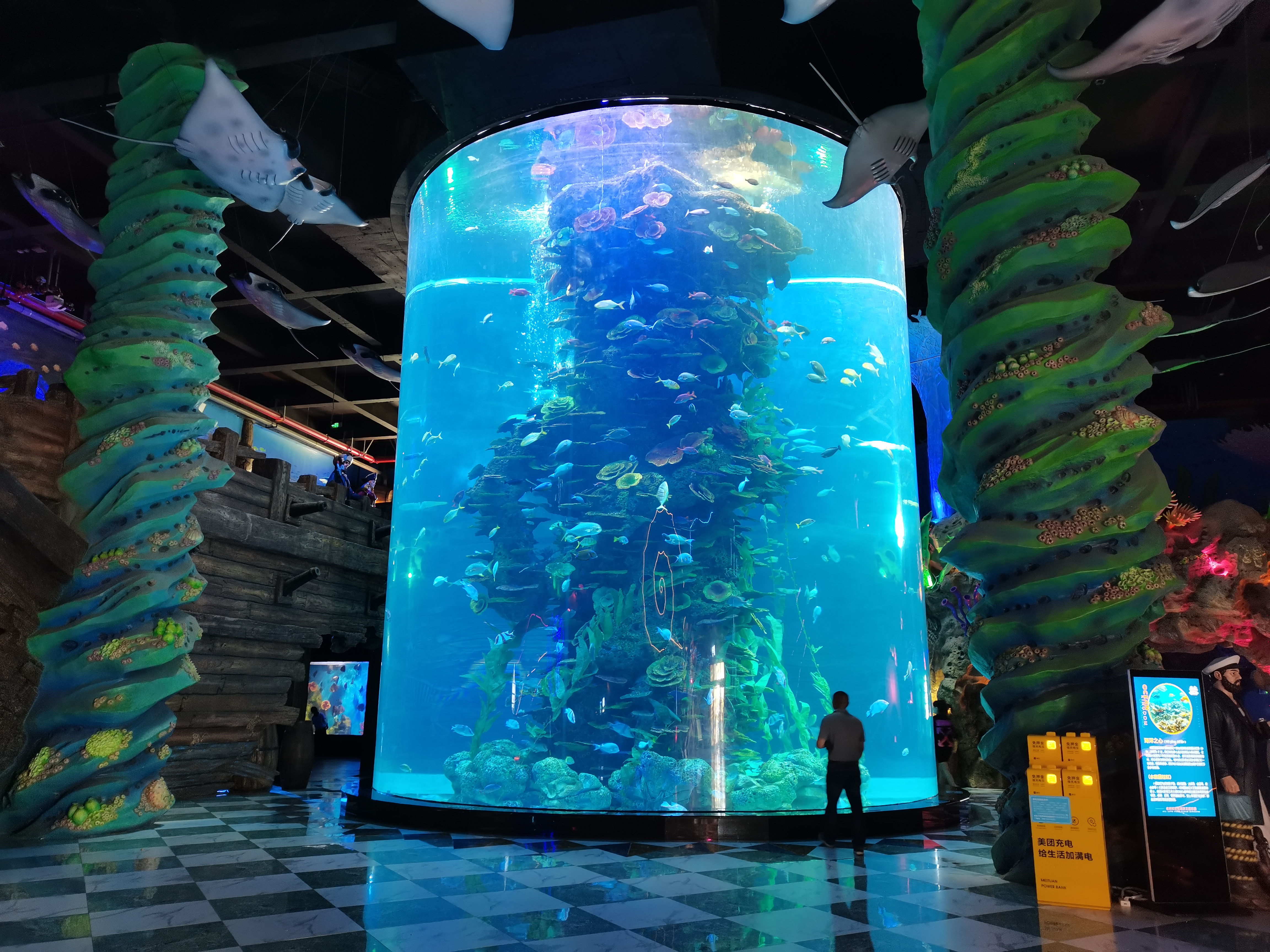 Acvariu cilindric acrilic - INSTALARE LEYU