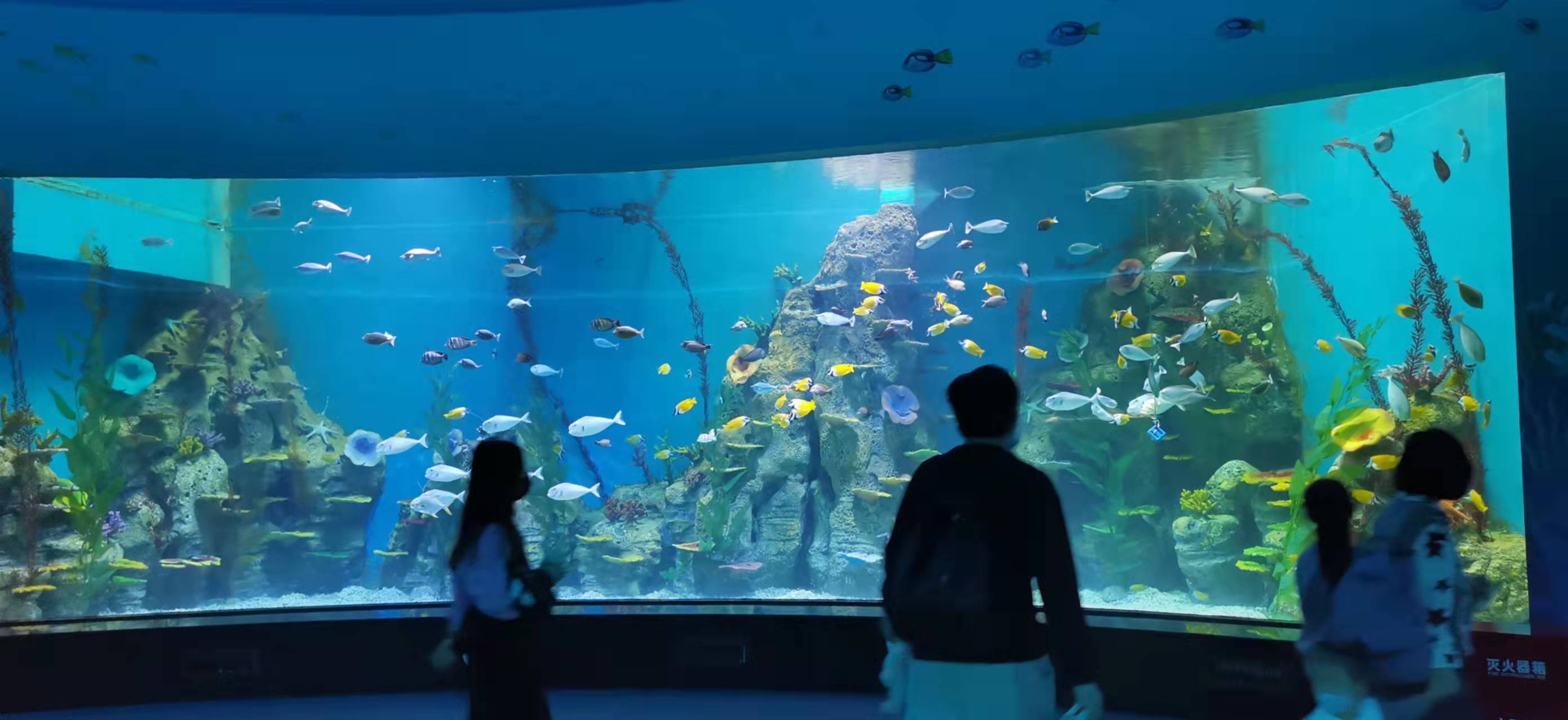 ऐक्रेलिक विंडो एक्वेरियम - निर्माण