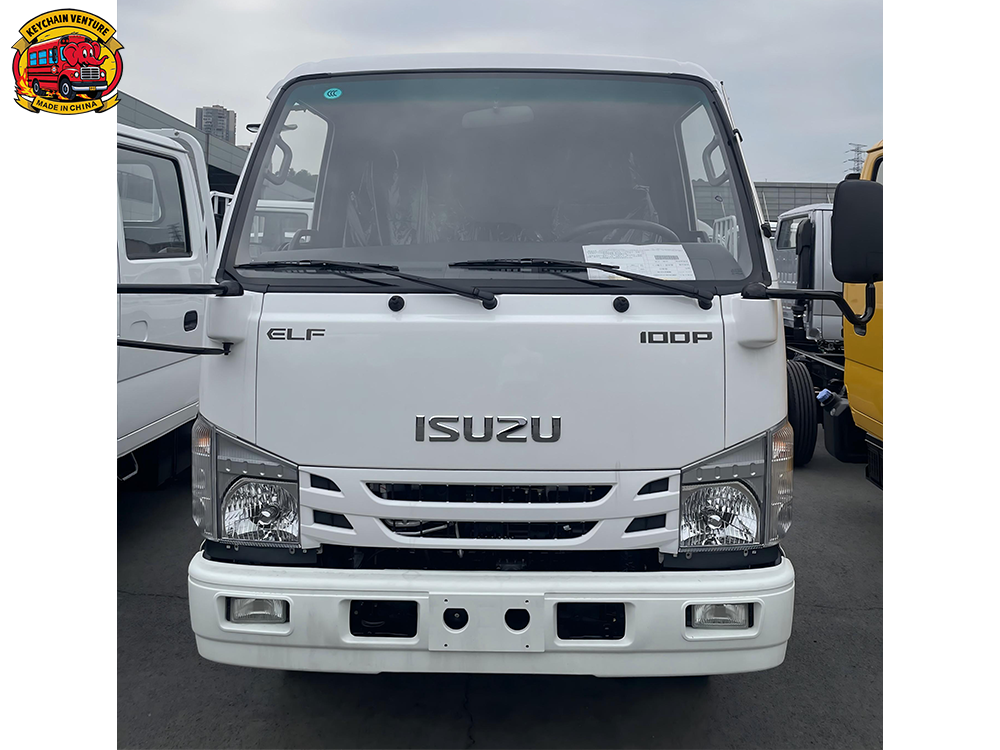 100P (NP11C) (2)