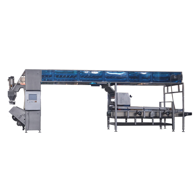 Intermediate Proofer