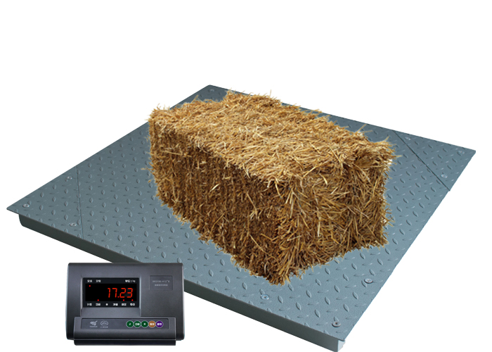 c&acirc;n s&agrave;n cho pallet