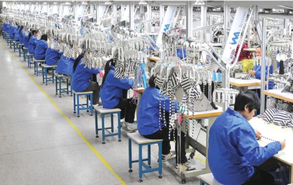 U mondu intricatu di natazione cunta i fabbrichi: da u disignu à a produzzione