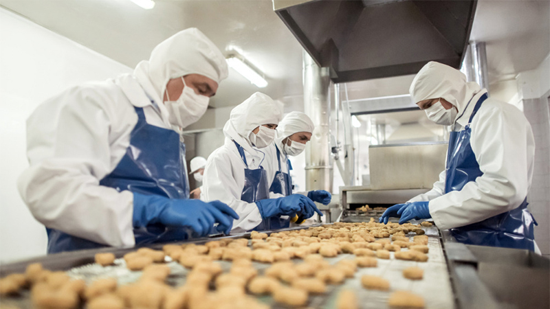 Transformation des aliments