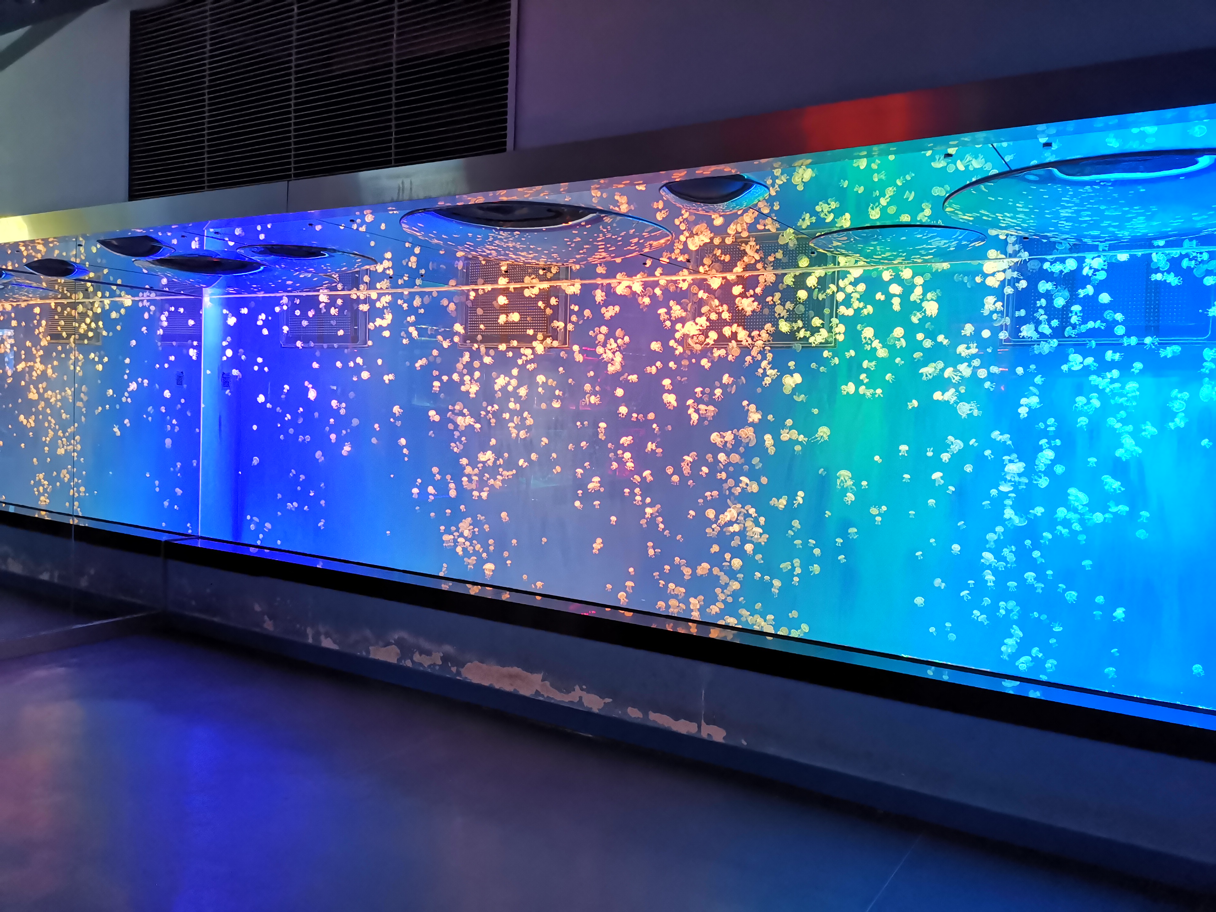 Akrilni akvarij za ribice - LEYU