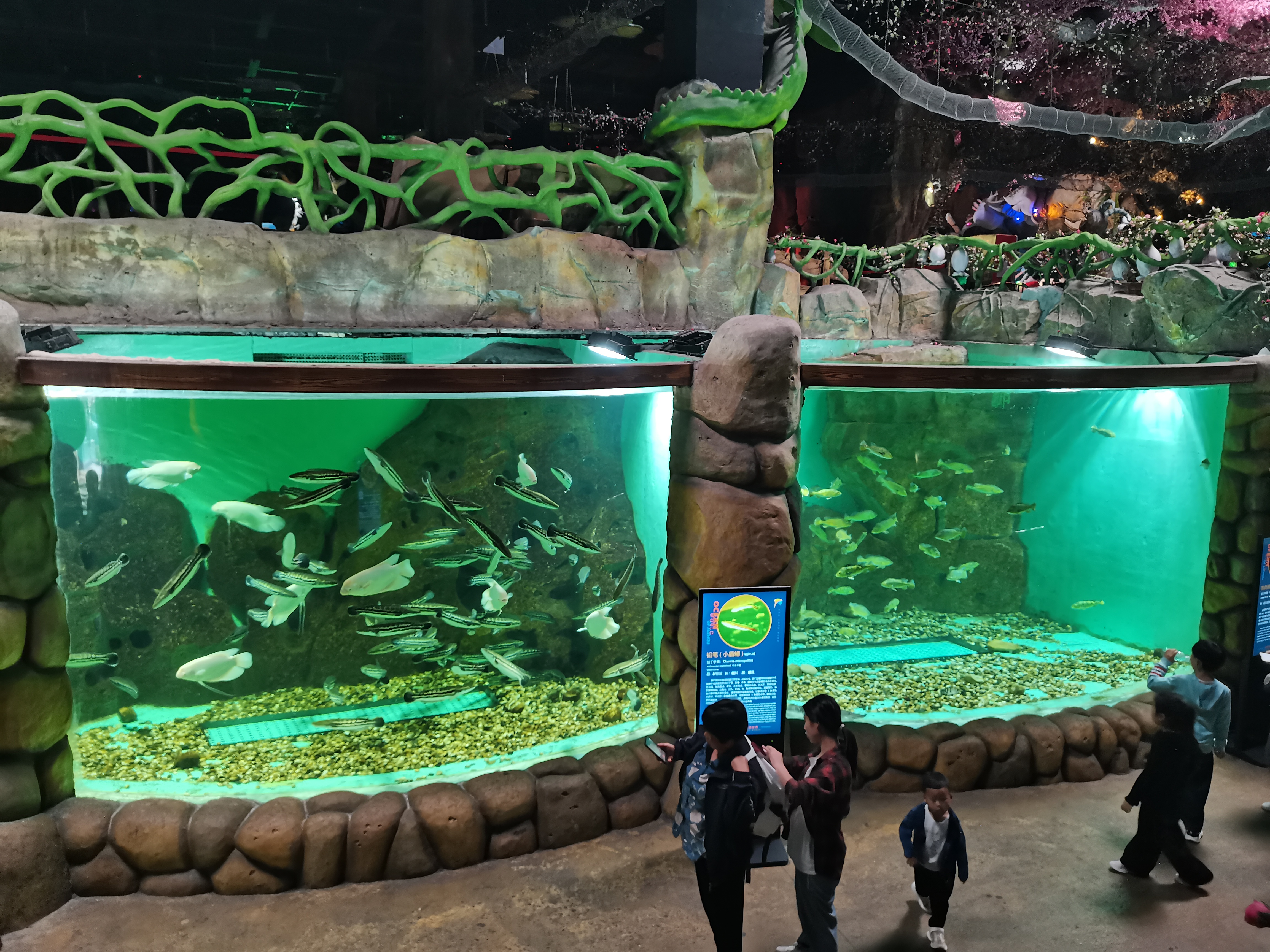 এক্রাইলিক অ্যাকোয়ারিয়াম উইন্ডো - উত্পাদন