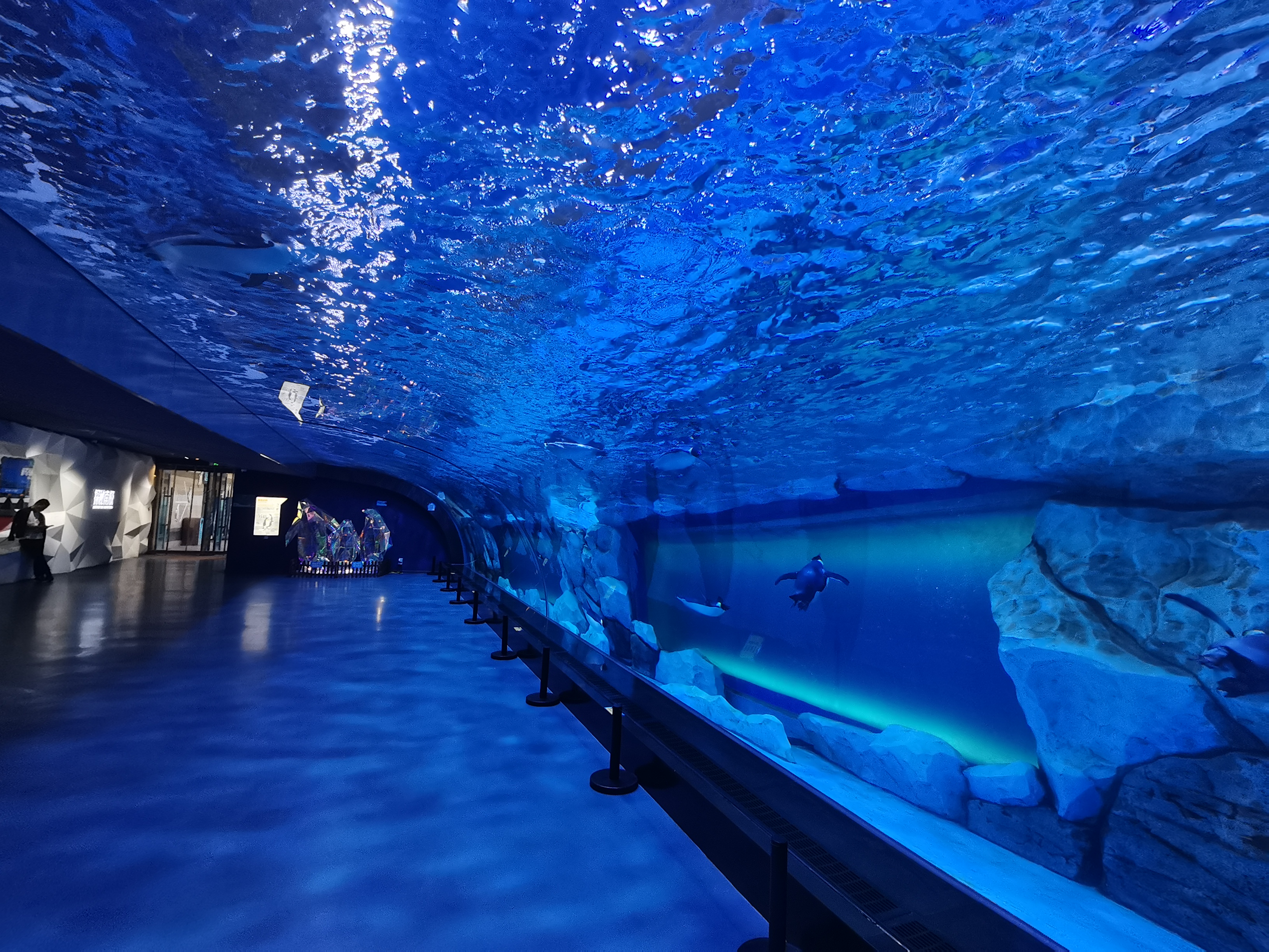 Okno gięte akrylowe - LEYU