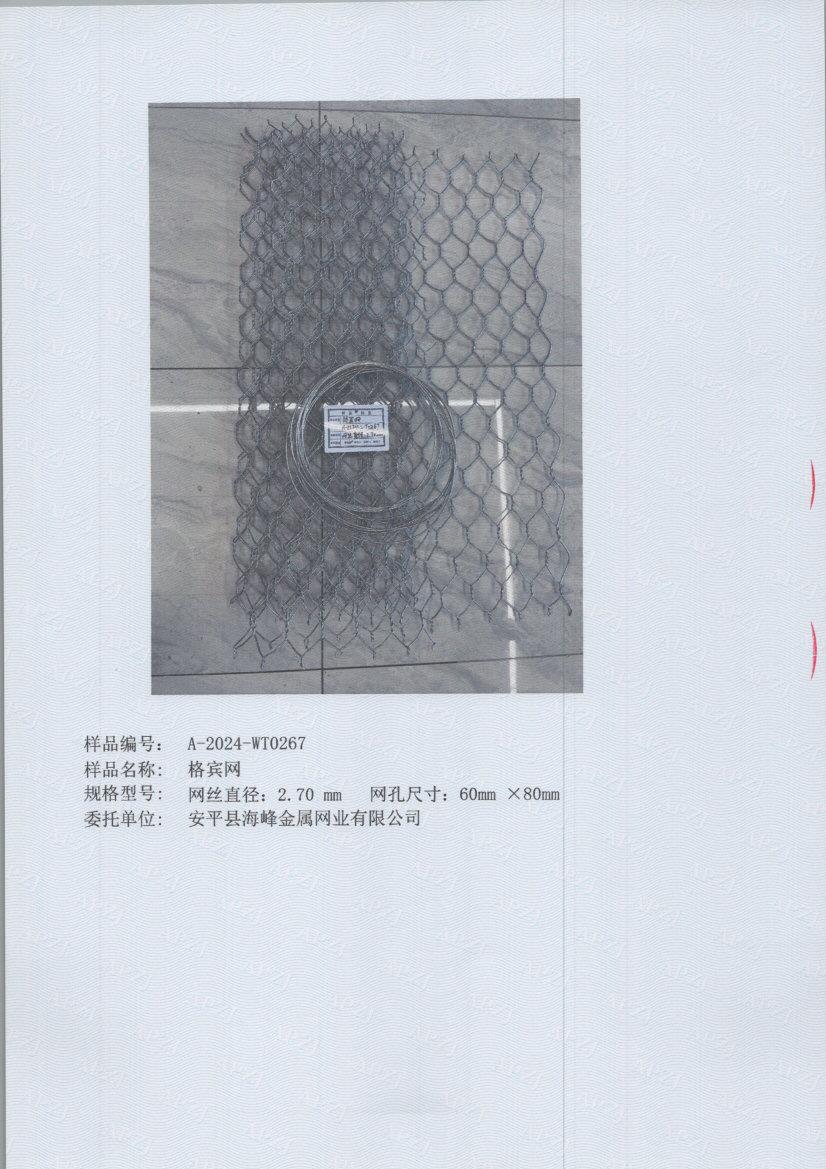 t0267 005