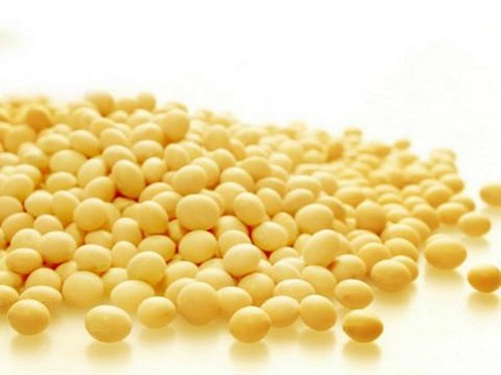 Where do phytosterols come from