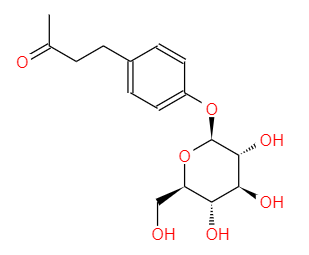 raspberry ketone glucoside ketone supplier-zhenyibio