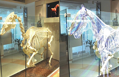 نافذة عرض الهولوغرام