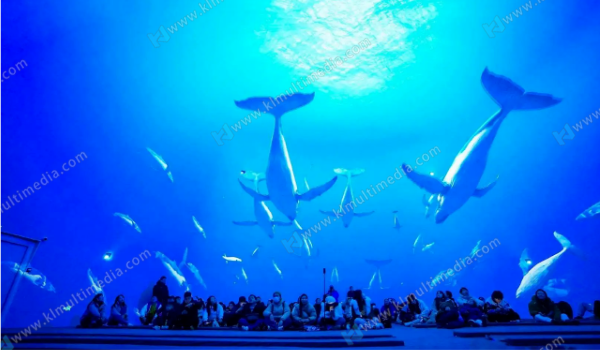 Immersive room for Aquarium