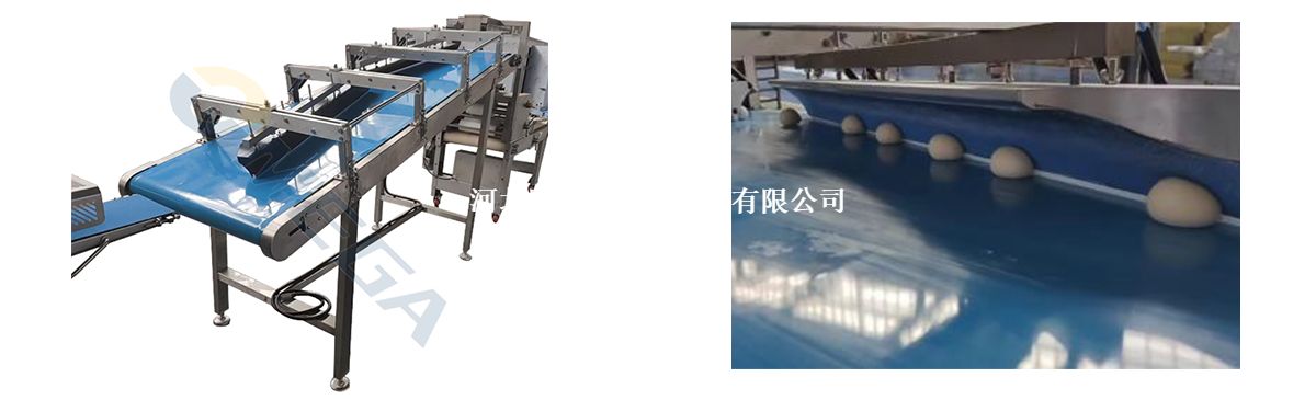 带式冷冻滚圆机-1