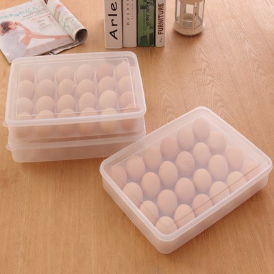Disposable Plastic Egg Container, Food Storage Container set BPA Free