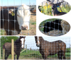 Good quality Long Lasting Shock Resistance Grassland Fence Making machine