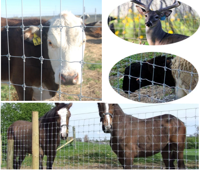 Good quality Long Lasting Shock Resistance Grassland Fence Making machine