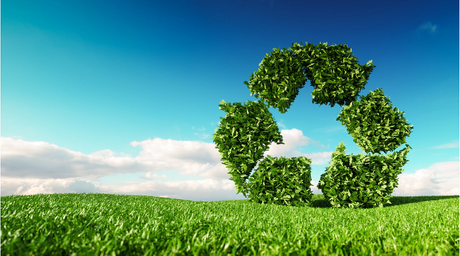 eco friendly.png