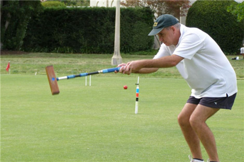 73 croquet ball (1)