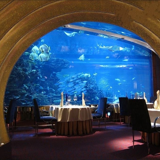 Paewhiri aquarium matapihi kiriaku - LEYU