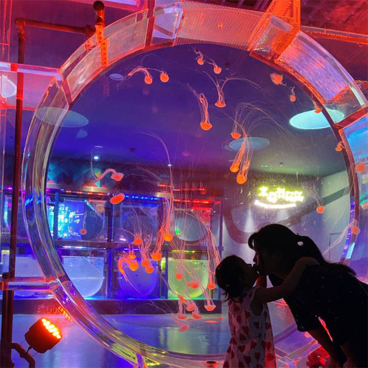 Custom acrylic jellyfish tank