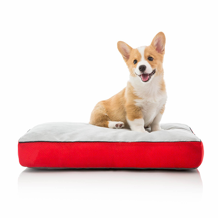 CPS Fashion Luxury Safe Durable Fabric Soft Pet Bed 